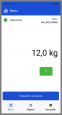 Платформенные весы МАССА-К 4D-PM-15/12-3000-AB(RUEW)