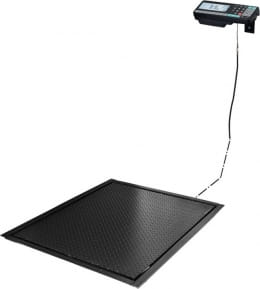 Платформенные весы МАССА-К 4D-PMF-20/15-2000-RA